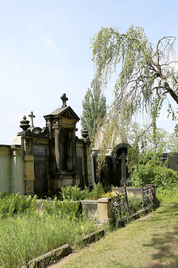 043 | 2022 | Dresden | Alter Annenfriedhof | © carsten riede fotografie