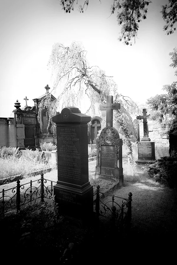 044 | 2022 | Dresden | Alter Annenfriedhof | © carsten riede fotografie