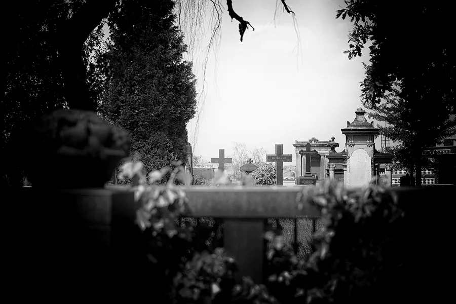 2022_07_084 | Dresden | Alter Annenfriedhof | © carsten riede fotografie