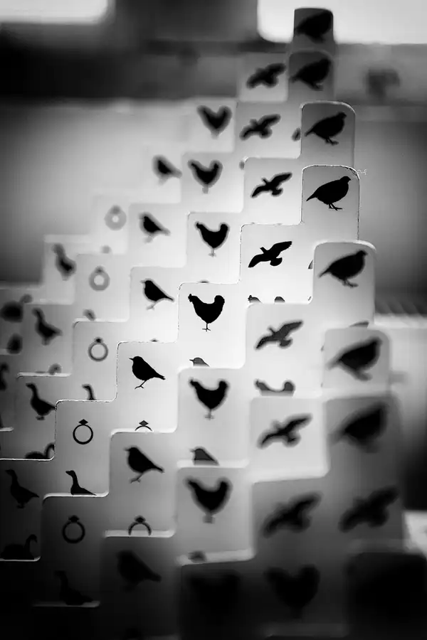 013 | 2022 | Dresden | Technische Sammlungen | © carsten riede fotografie