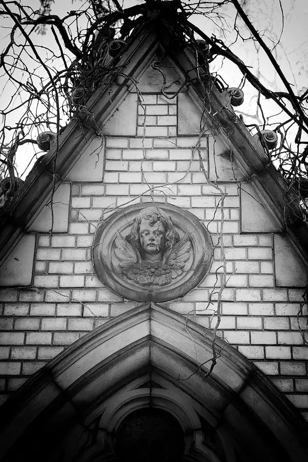 065 | 2022 | Berlin | Friedhof Schöneberg III Stubenrauchstrasse | © carsten riede fotografie