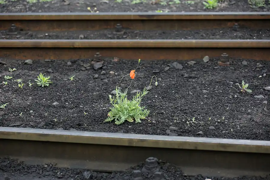 028 | 2022 | Radebeul Ost | Bahnhof – Lössnitzgrundbahn | © carsten riede fotografie