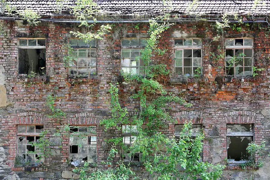 003 | 2022 | Seifersdorf | © carsten riede fotografie