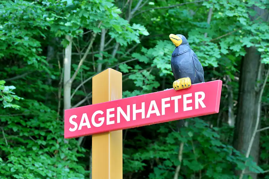 015 | 2022 | Rabenau | © carsten riede fotografie