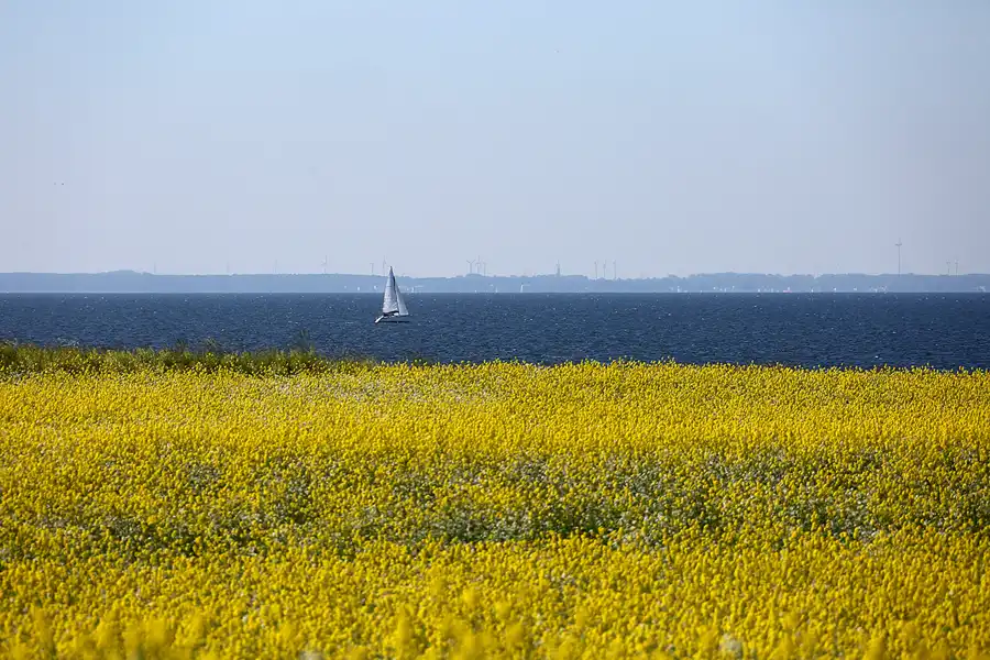 001 | 2022 | Alt Reddevitz | © carsten riede fotografie