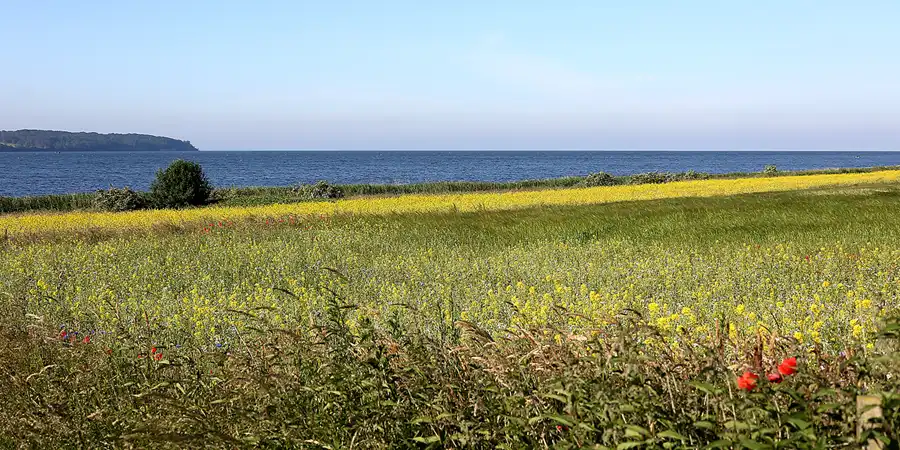 002 | 2022 | Alt Reddevitz | © carsten riede fotografie