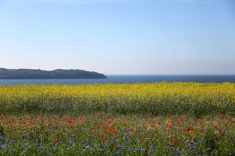 008 | 2022 | Alt Reddevitz | © carsten riede fotografie