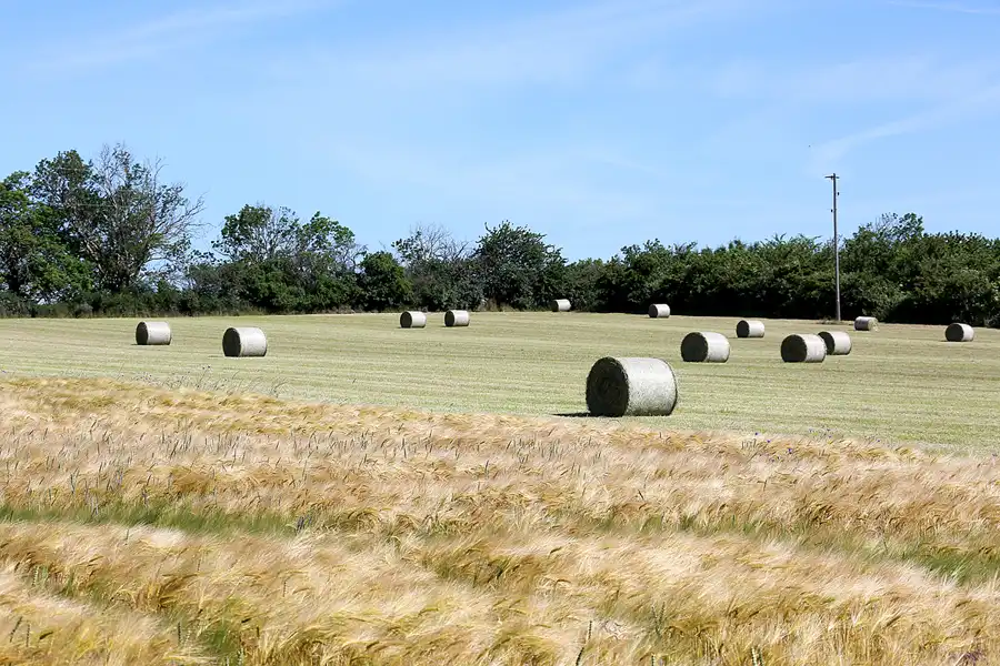 012 | 2022 | Alt Reddevitz | © carsten riede fotografie