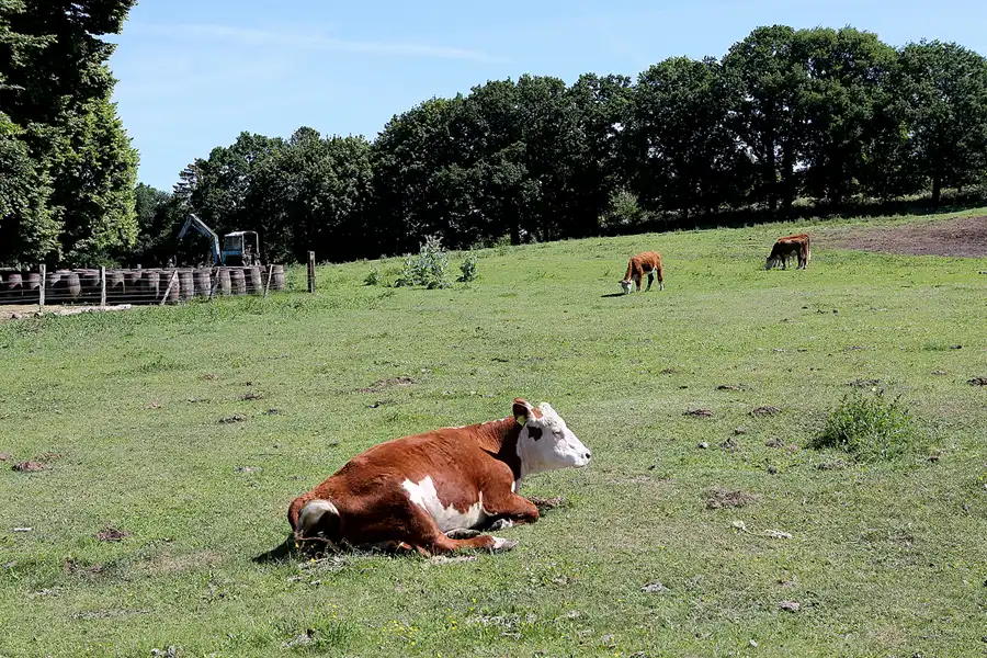 015 | 2022 | Alt Reddevitz | © carsten riede fotografie