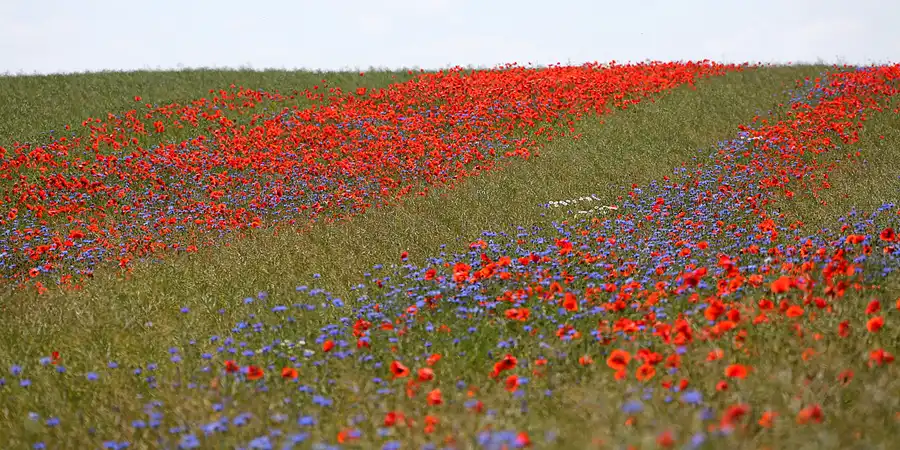 111 | 2022 | Liddow | © carsten riede fotografie