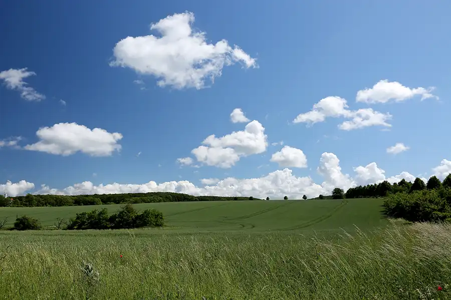 118 | 2022 | Lohme | © carsten riede fotografie