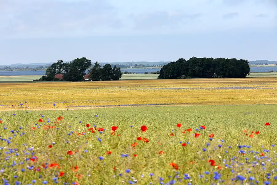 136 | 2022 | Neuenkirchen | © carsten riede fotografie