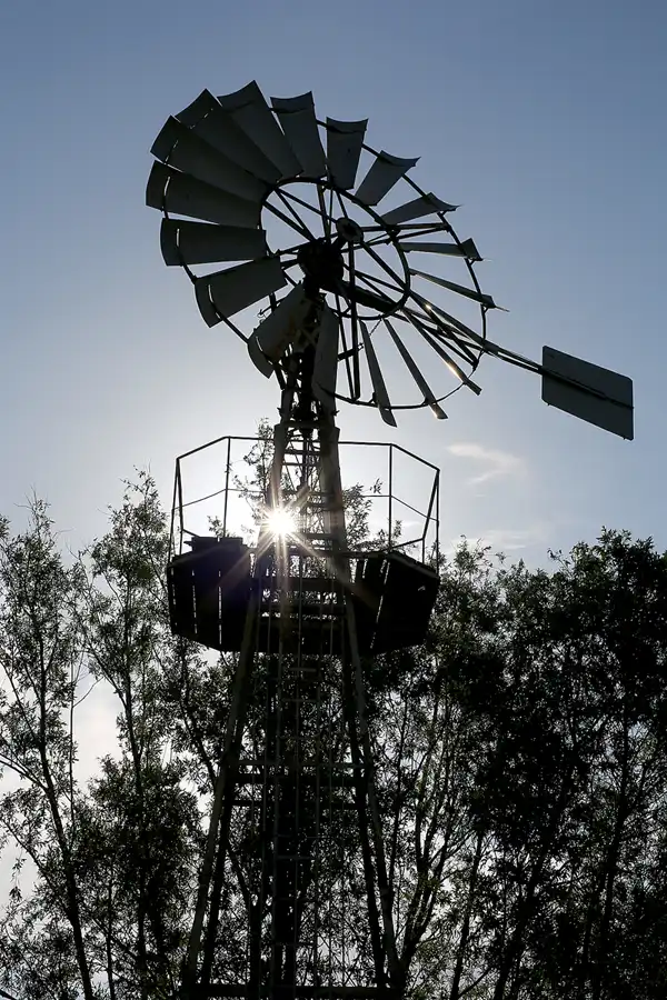 148 | 2022 | Putgarten | © carsten riede fotografie