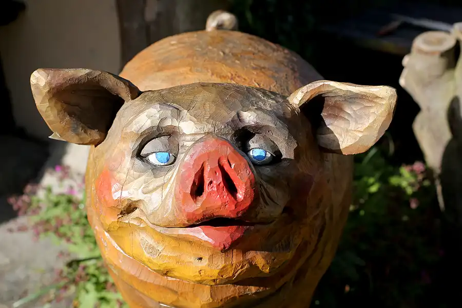 149 | 2022 | Putgarten | © carsten riede fotografie