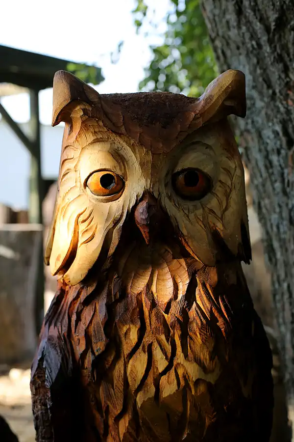 153 | 2022 | Putgarten | © carsten riede fotografie