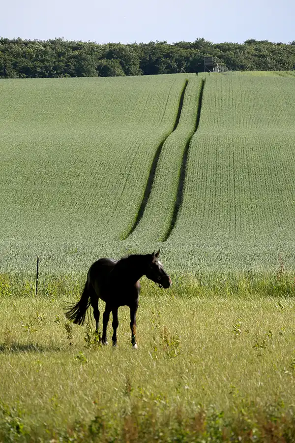 158 | 2022 | Ranzow | © carsten riede fotografie