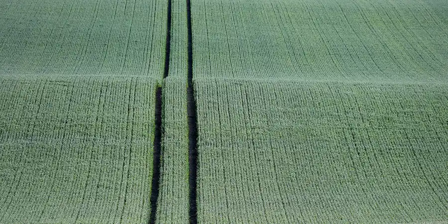 159 | 2022 | Ranzow | © carsten riede fotografie