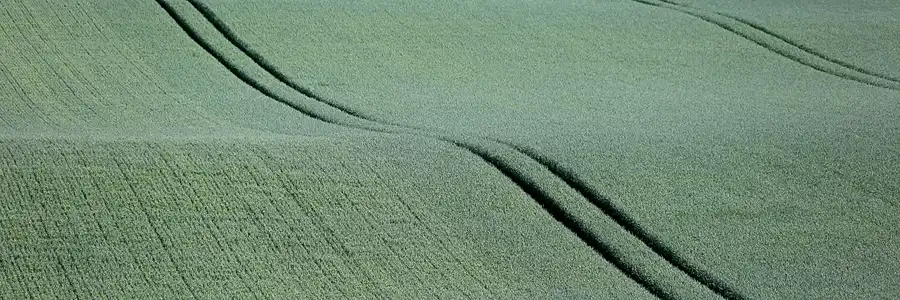 160 | 2022 | Ranzow | © carsten riede fotografie