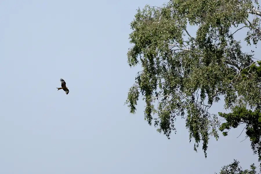 168 | 2022 | Serams | © carsten riede fotografie
