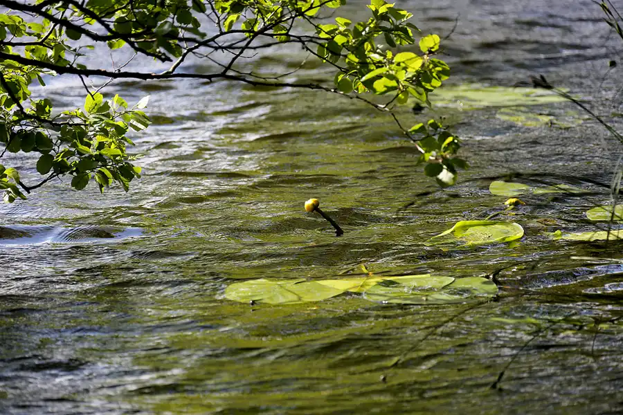 182 | 2022 | Stubbenkammer | Rund um den Herthasee | © carsten riede fotografie
