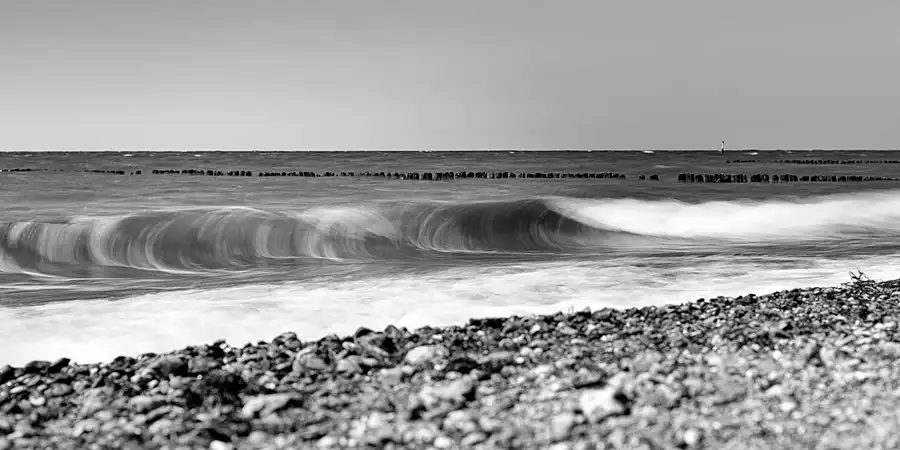 001 | 2022 | Bug | © carsten riede fotografie