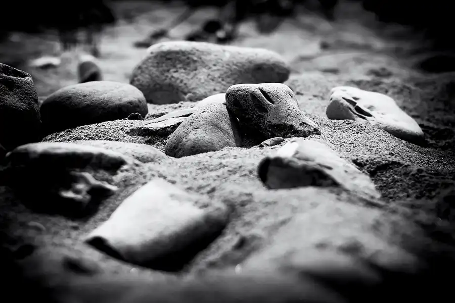 002 | 2022 | Bug | © carsten riede fotografie