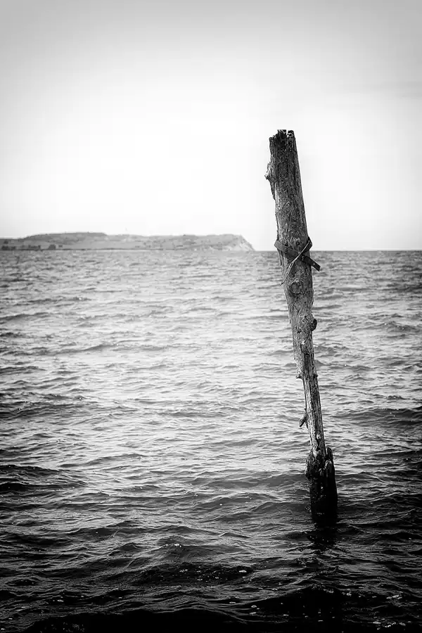 003 | 2022 | Bug | © carsten riede fotografie