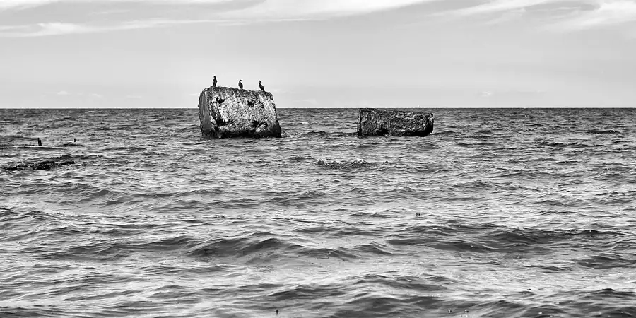 004 | 2022 | Bug | © carsten riede fotografie