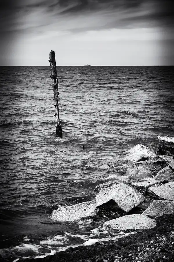 005 | 2022 | Bug | © carsten riede fotografie