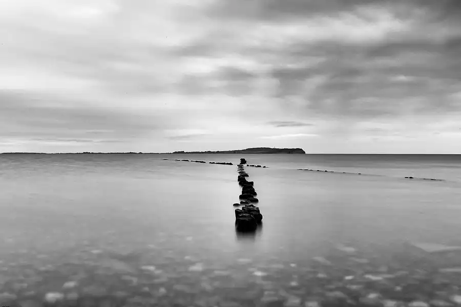 006 | 2022 | Bug | © carsten riede fotografie