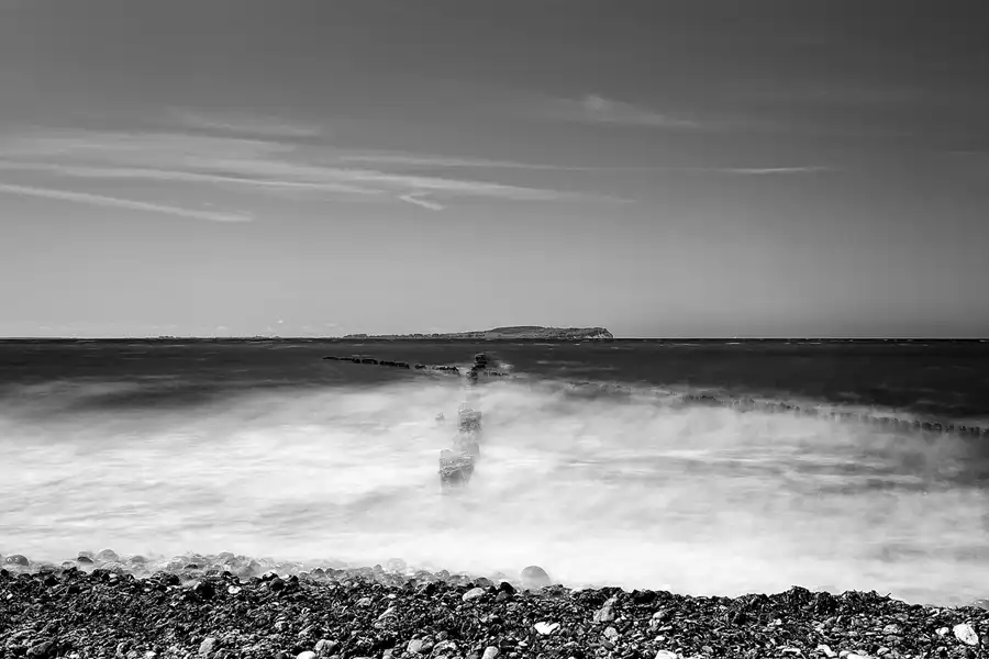 007 | 2022 | Bug | © carsten riede fotografie