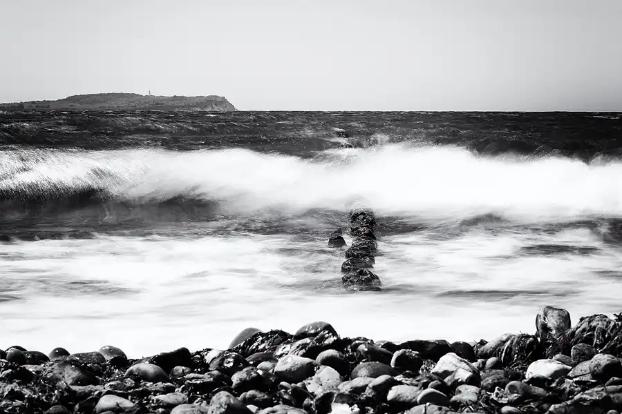 009 | 2022 | Bug | © carsten riede fotografie