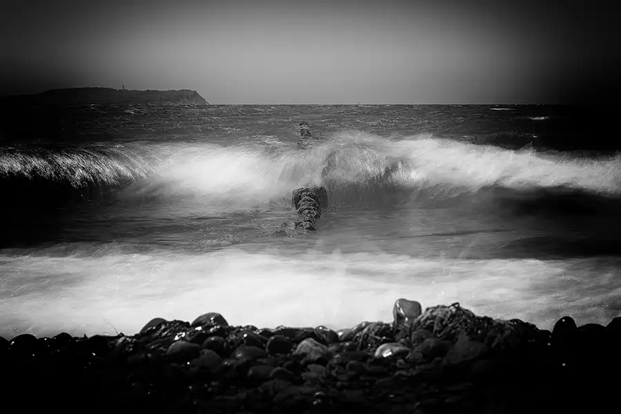 010 | 2022 | Bug | © carsten riede fotografie