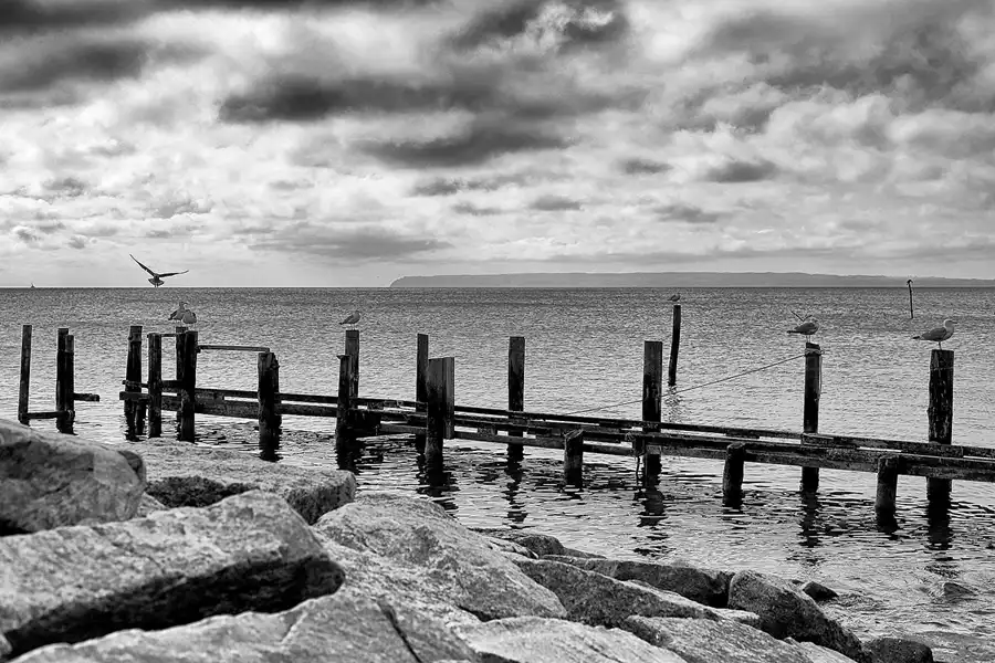 013 | 2022 | Vitt | © carsten riede fotografie