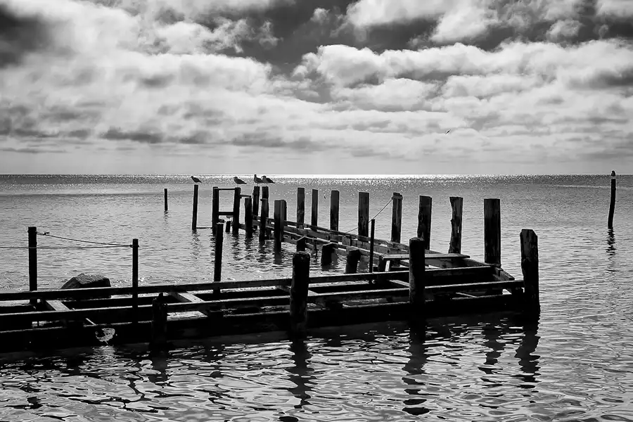 014 | 2022 | Vitt | © carsten riede fotografie