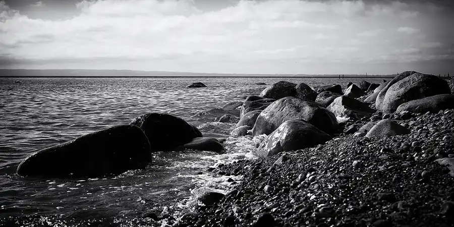 015 | 2022 | Vitt | © carsten riede fotografie