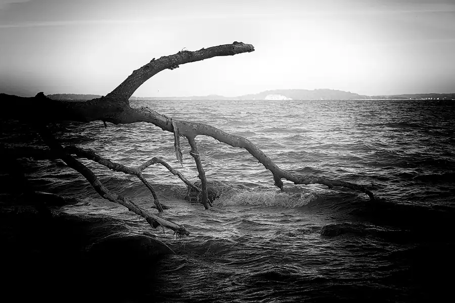 019 | 2022 | Alt Reddevitz | Reddevitzer Höft | © carsten riede fotografie