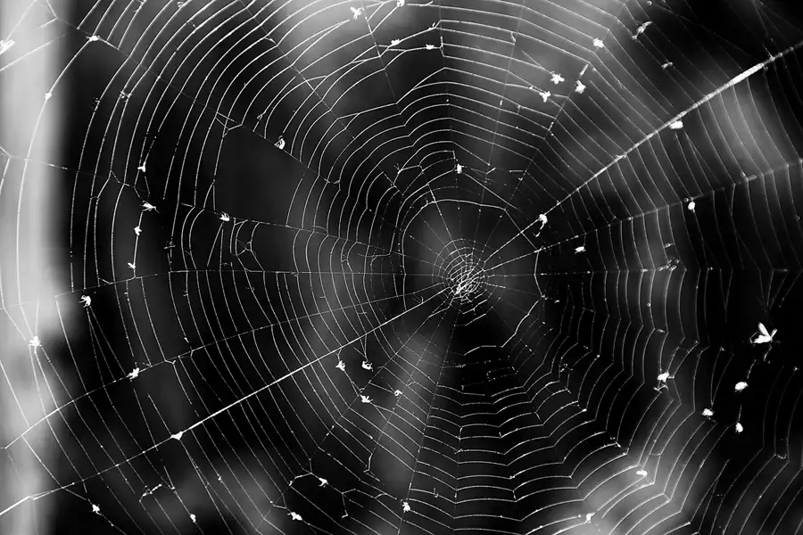 021 | 2022 | Alt Reddevitz | Reddevitzer Höft | © carsten riede fotografie