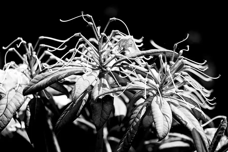 042 | 2022 | Binz | Park der Sinne | © carsten riede fotografie