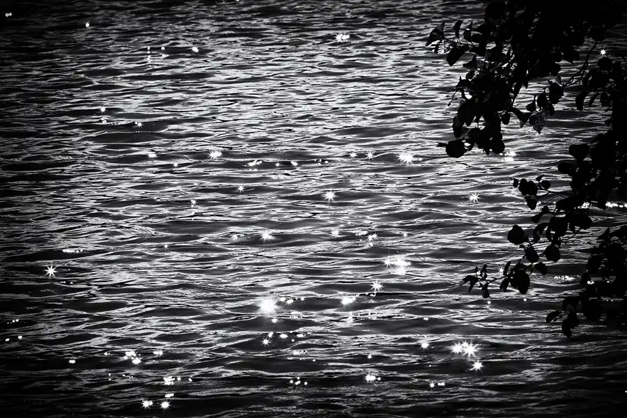 043 | 2022 | Stubbenkammer | Rund um den Herthasee | © carsten riede fotografie