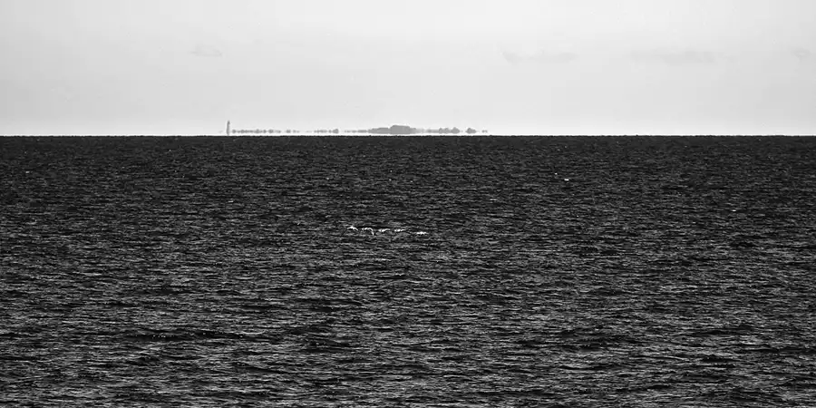 046 | 2022 | Greifswalder Oie | © carsten riede fotografie