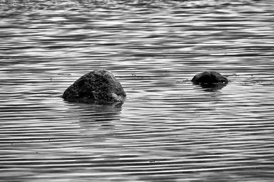 047 | 2022 | Neuendorf | © carsten riede fotografie
