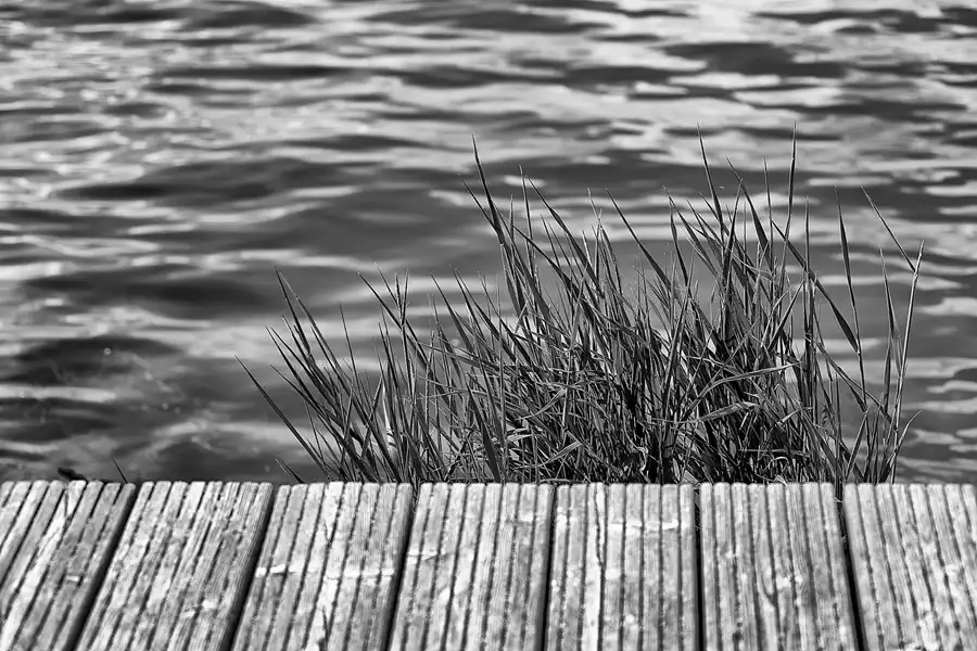 048 | 2022 | Altefähr | © carsten riede fotografie