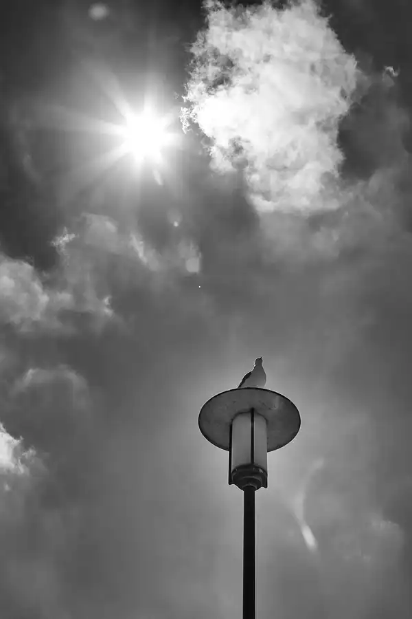 050 | 2022 | Vieregge | © carsten riede fotografie