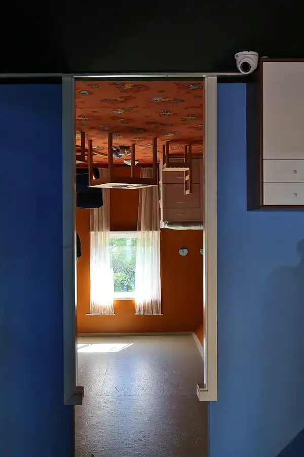 008 | 2022 | Putbus | Haus-Kopf-über | © carsten riede fotografie