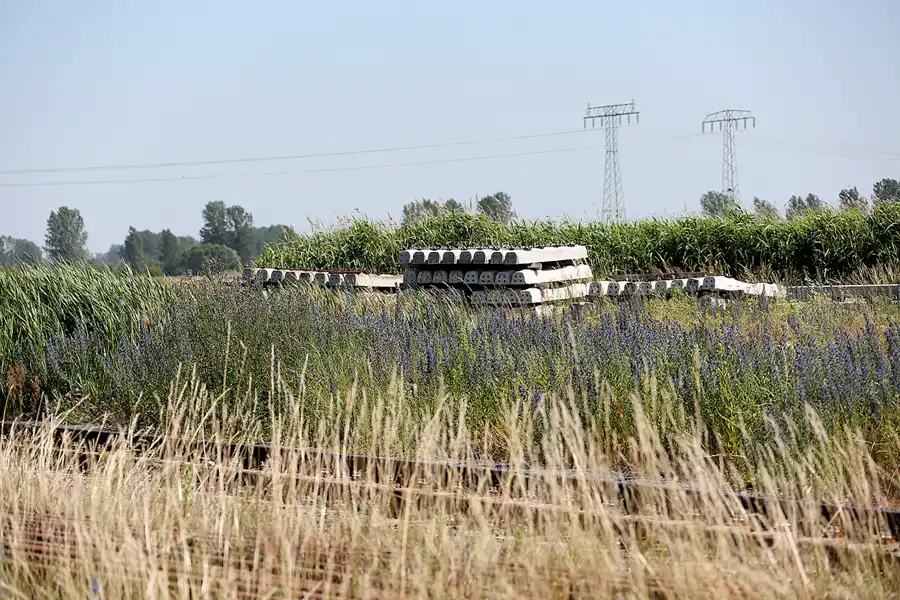 081 | 2022 | Pasewalk | Lokschuppen Pasewalk | © carsten riede fotografie