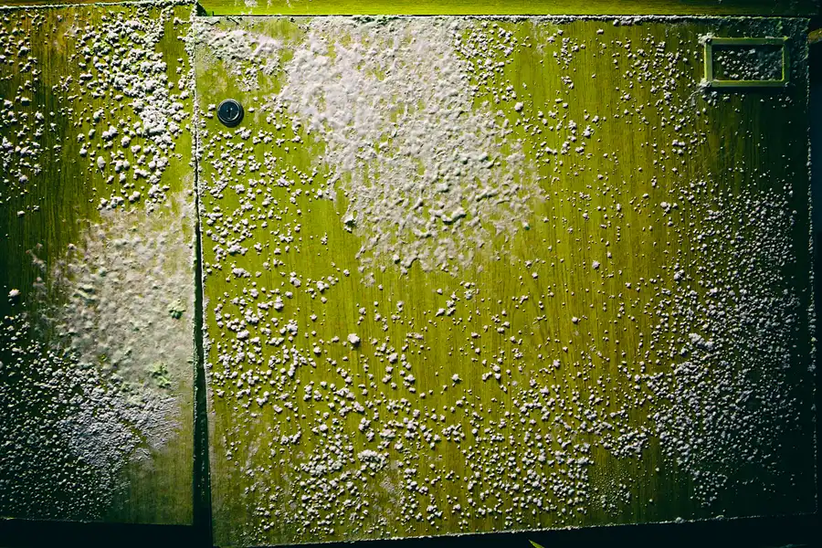 029 | 2022 | Freudenberg | Objekt 7001 – Ausweichführungsstelle des Ministeriums des Innern der DDR (MdI) | © carsten riede fotografie