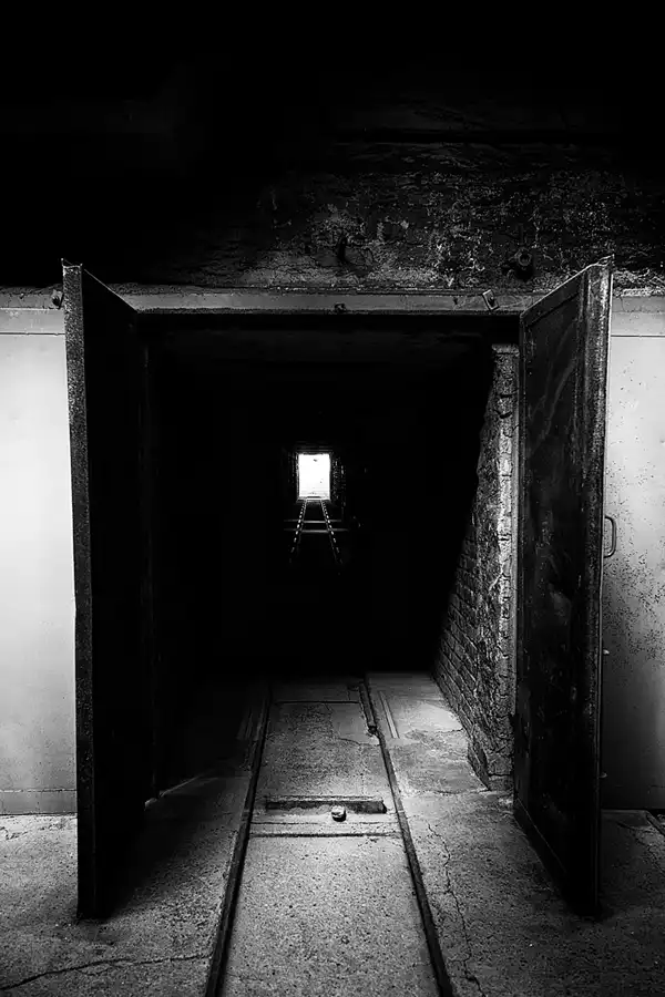 023 | 2022 | Mildenberg | Ziegeleipark | © carsten riede fotografie