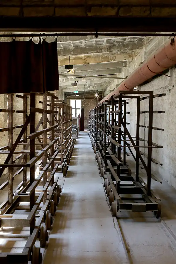 031 | 2022 | Mildenberg | Ziegeleipark | © carsten riede fotografie