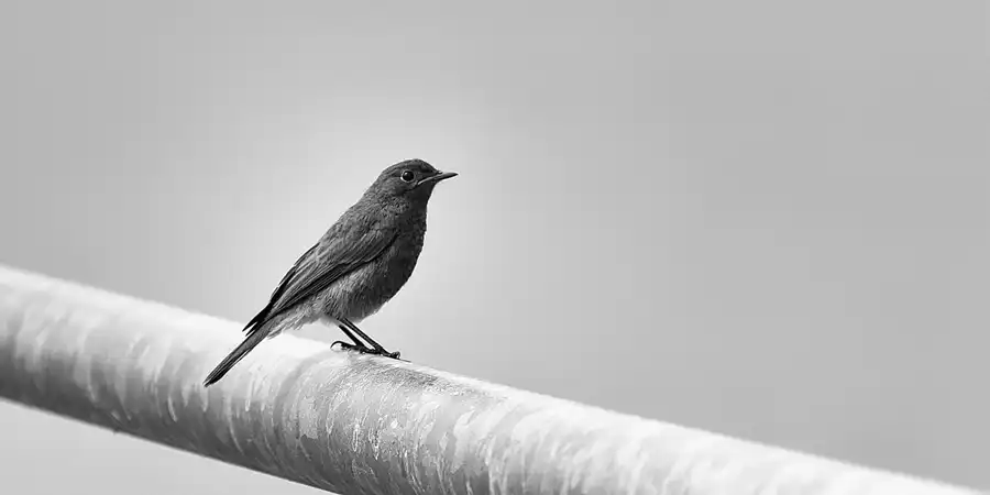 005 | 2022 | Grossräschen | IBA-Terrassen – Grossräschener See | © carsten riede fotografie